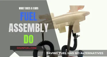 The Fuel Assembly: Powering Your Car's Performance
