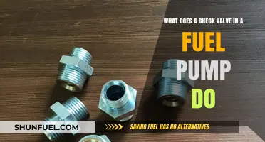 Understanding the Role of a Check Valve in Fuel Pumps