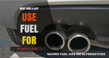 Urban Energy Needs: How Cities Utilize Fuel for Daily Operations