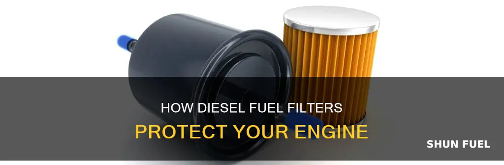 what does a diesel fuel filter do