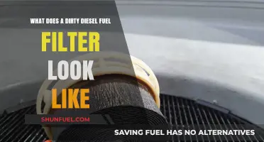 Dirty Diesel Fuel Filter: What to Look For