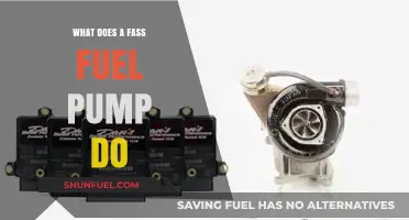 Understanding the Role of a FASS Fuel Pump in Diesel Engines