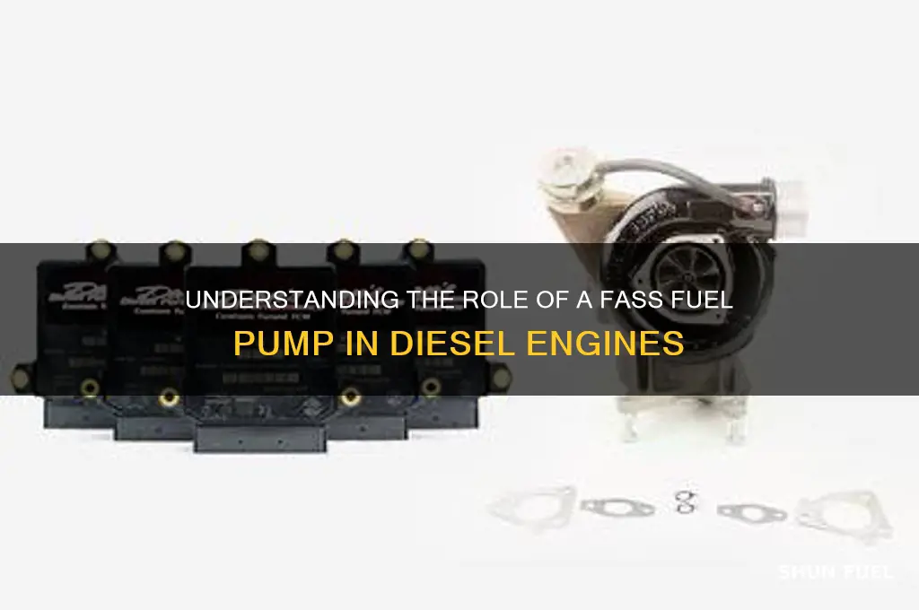 what does a fass fuel pump do