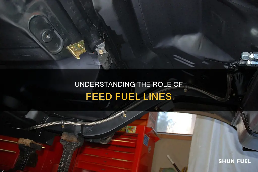 what does a feed fuel line do