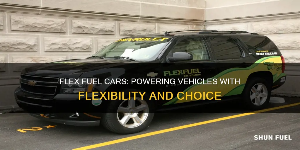 what does a flex fuel car mean