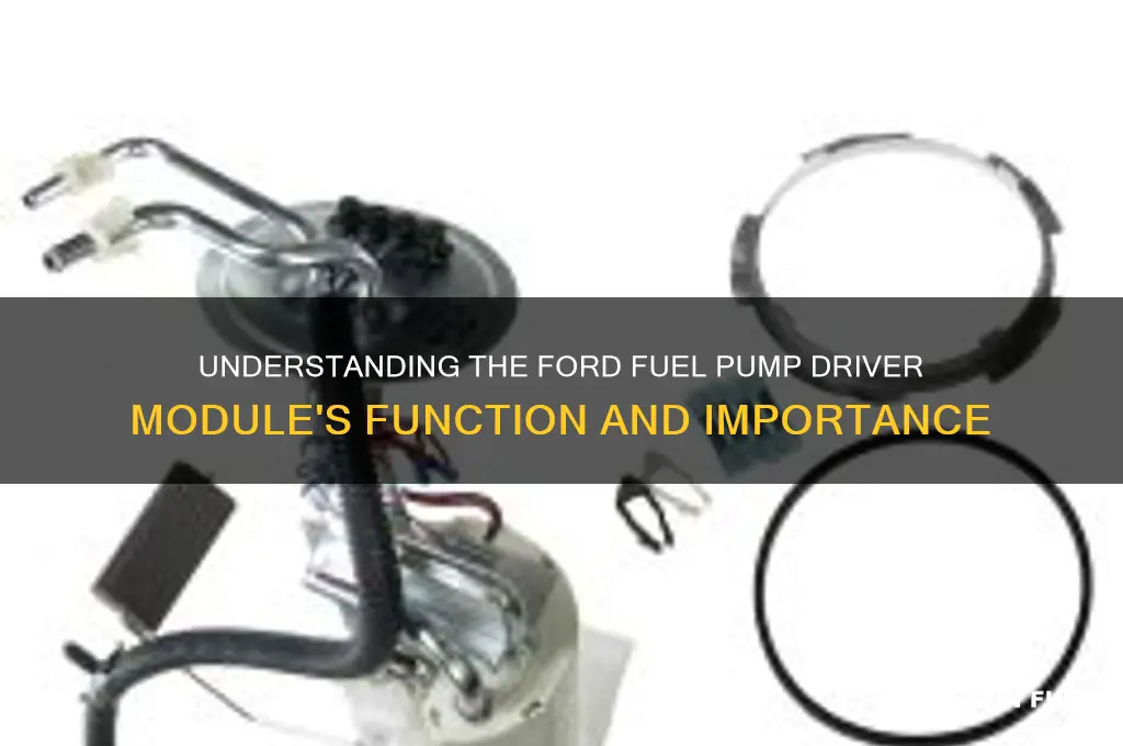what does a ford fuel pump driver module do