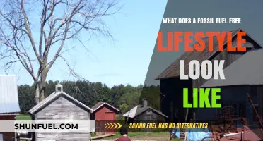 Living Clean: Embracing a Fossil Fuel-Free Lifestyle for a Greener Future