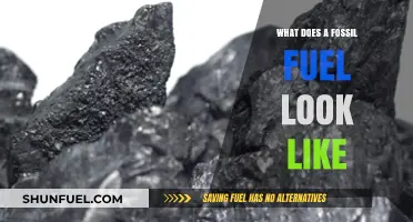 Unveiling Fossil Fuels: Visualizing Coal, Oil, and Natural Gas Up Close