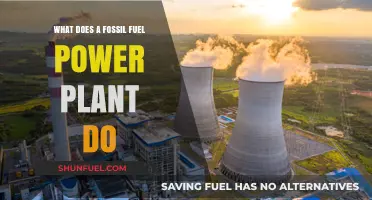 How Fossil Fuel Power Plants Generate Electricity: A Detailed Overview