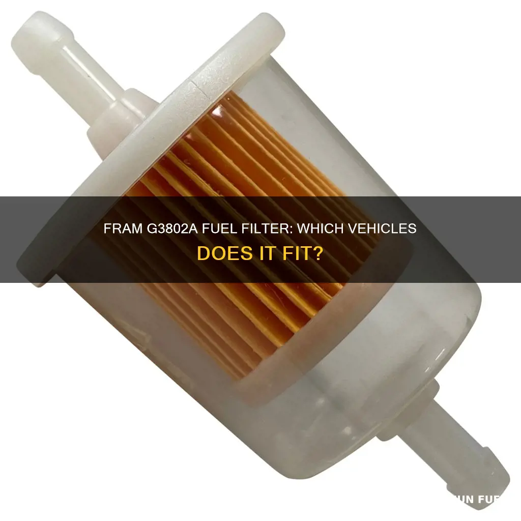 what does a fram g3802a fuel filter fit