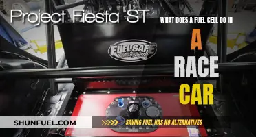 Fuel Cells: Powering Race Cars to the Finish Line
