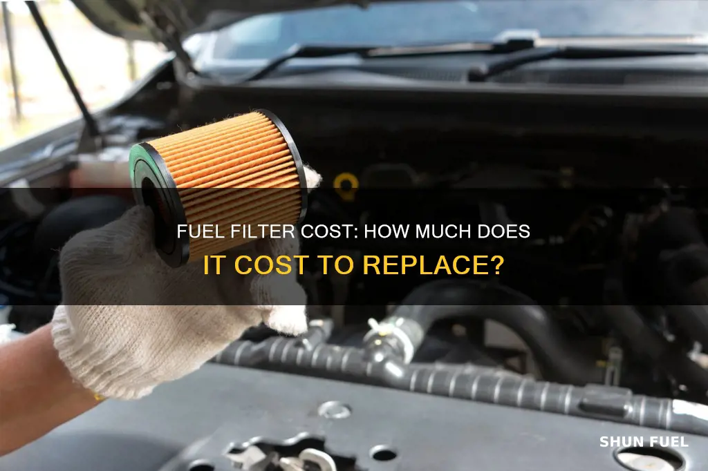 what does a fuel filter cost