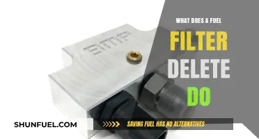 Fuel Filter Delete: Performance Boost or Risk?