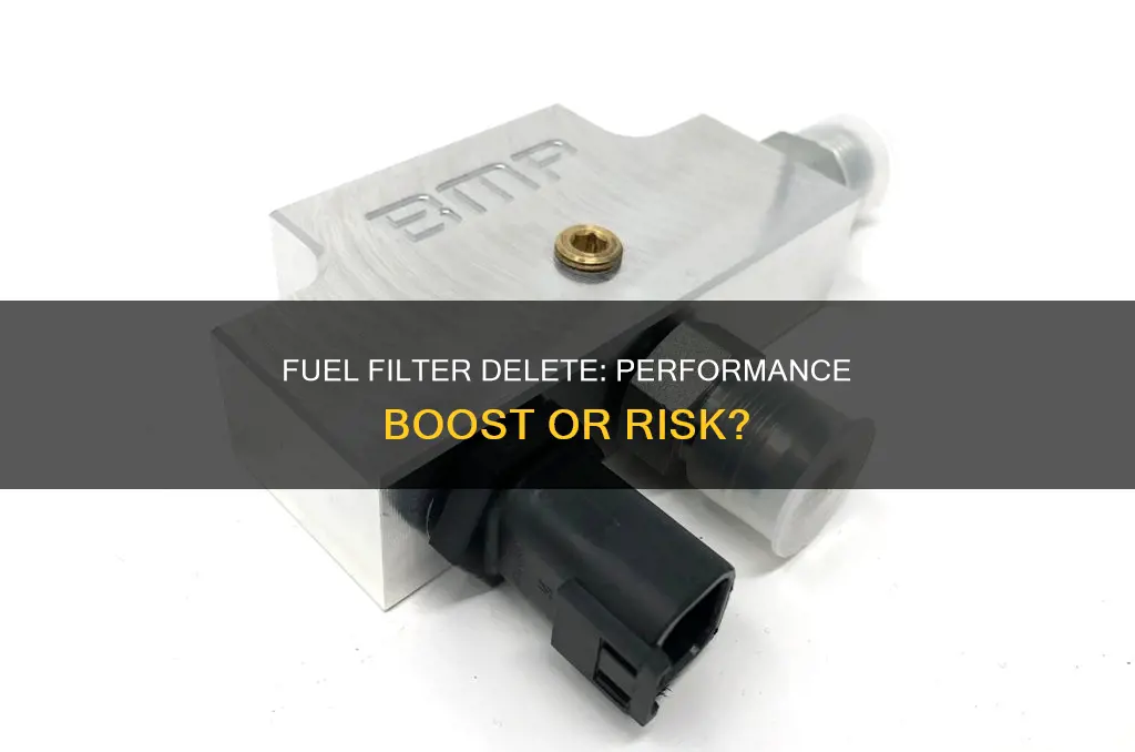 what does a fuel filter delete do