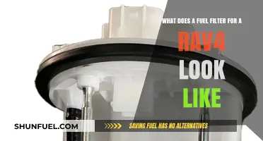 Rav4 Fuel Filter: What Does It Look Like?