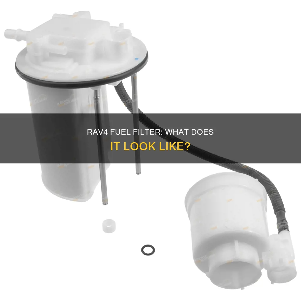 what does a fuel filter for a rav4 look like