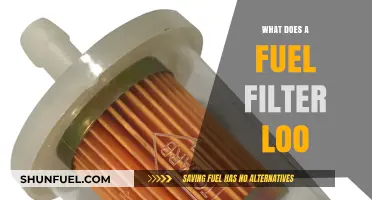 Fuel Filter: What It Looks Like and Why It Matters