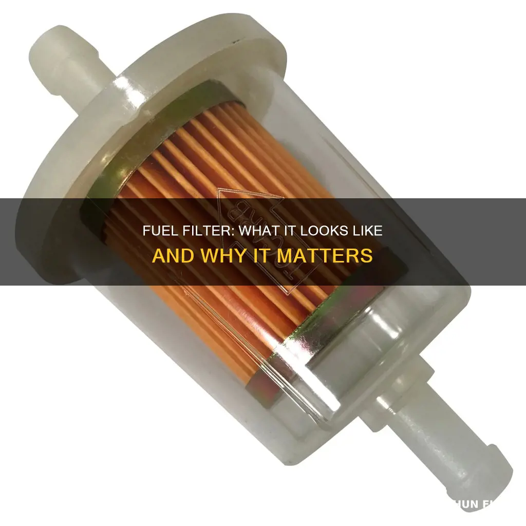 what does a fuel filter loo