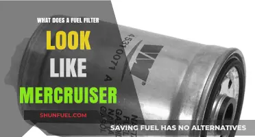 Mercruiser Fuel Filter: What Does It Look Like?