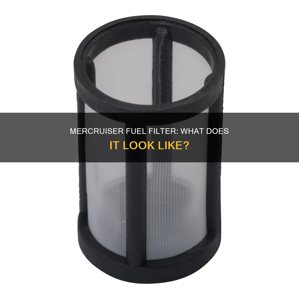 what does a fuel filter look like mercruiser