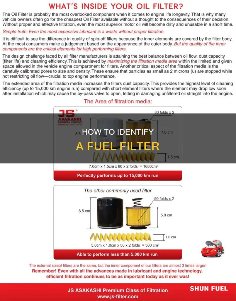what does a fuel filter look like