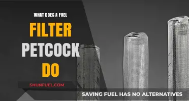 Fuel Filter Petcock: What's Its Function?