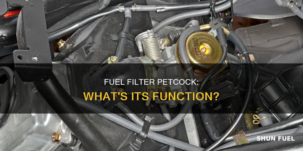 what does a fuel filter petcock do