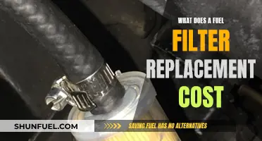 Fuel Filter Replacement: Cost and Maintenance Tips