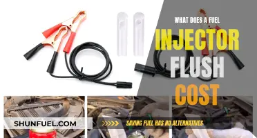 Fuel Injector Flush Cost: How Much Does It Take?