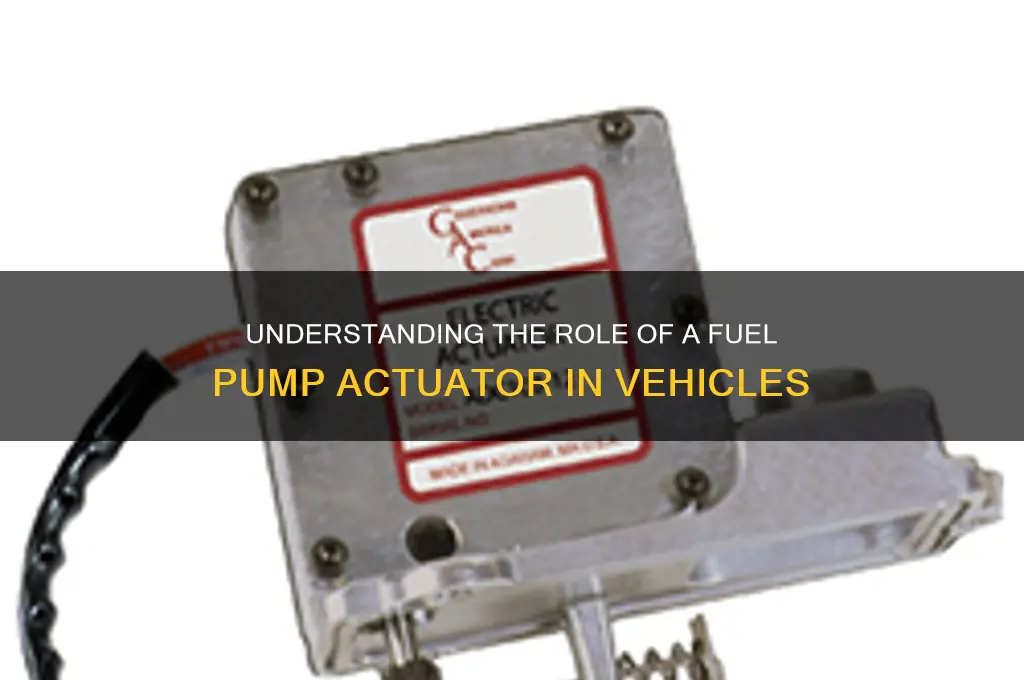 what does a fuel pump actuator do
