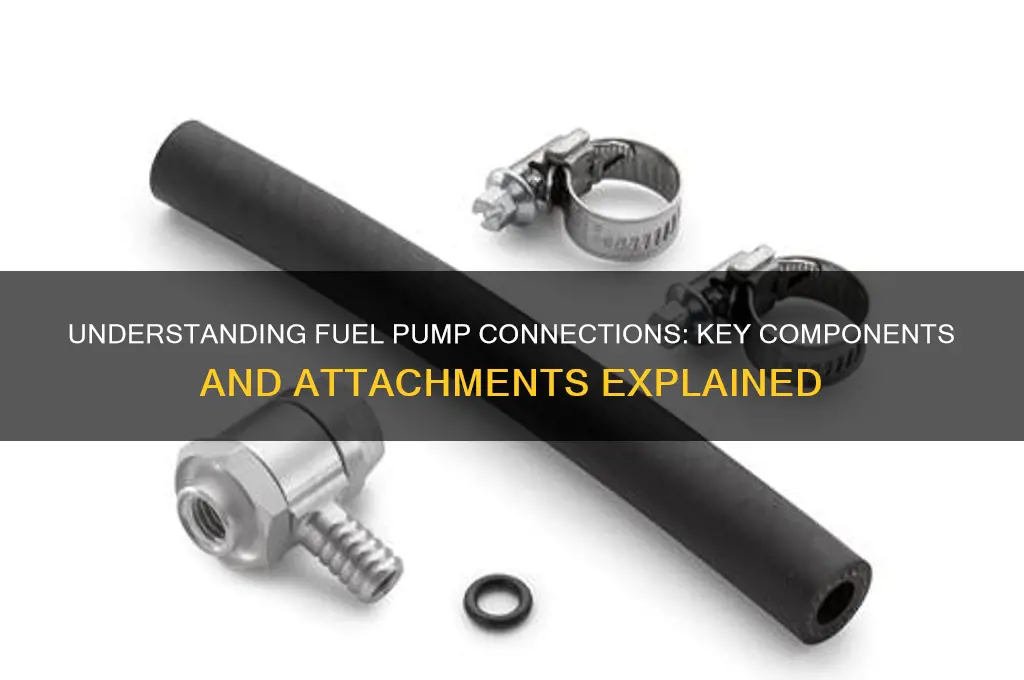 what does a fuel pump attach to