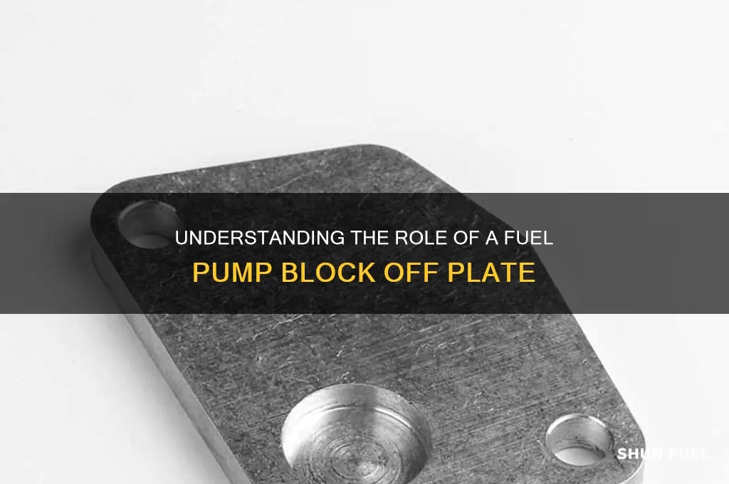 what does a fuel pump block off plate do