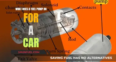 Powering Your Ride: The Role of Fuel Pumps in Cars