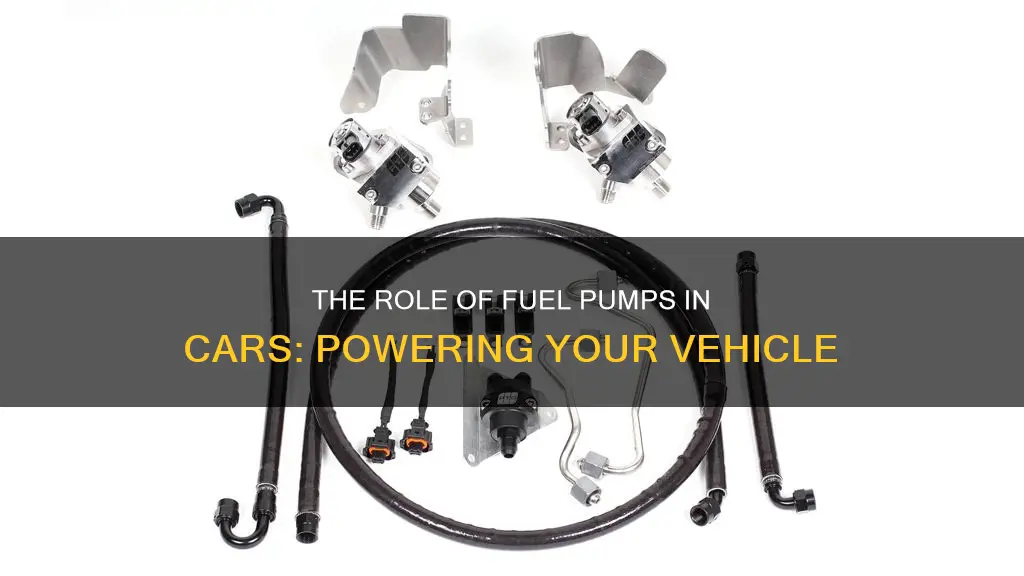 what does a fuel pump do for a car