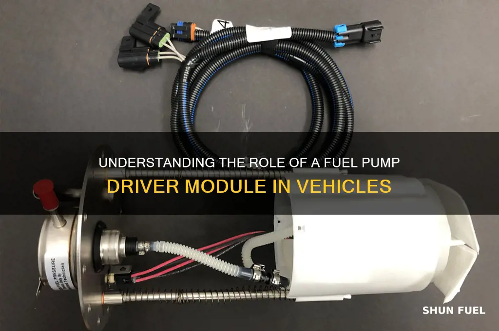 what does a fuel pump driver module do