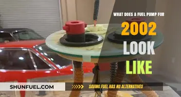 Visual Guide to Identifying a 2002 Vehicle's Fuel Pump Design
