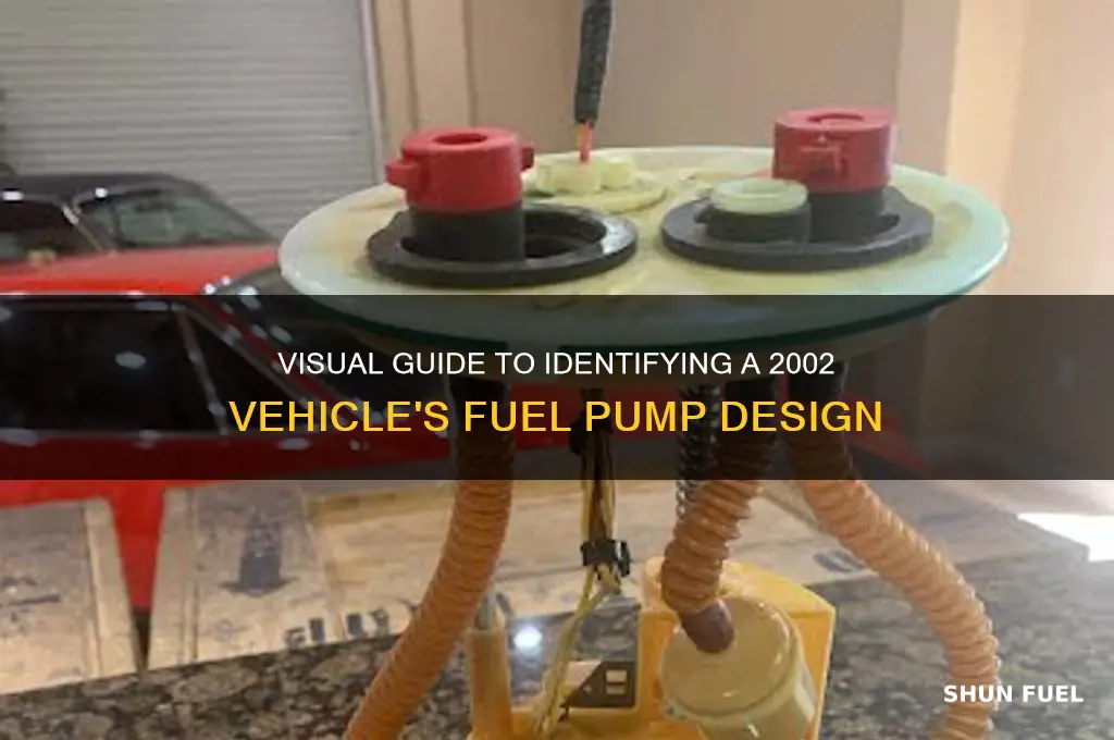 what does a fuel pump for 2002 look like