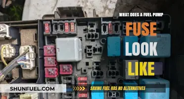 Identifying a Fuel Pump Fuse: Visual Guide and Key Features