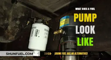 What Does a Fuel Pump Look Like? A Visual Guide