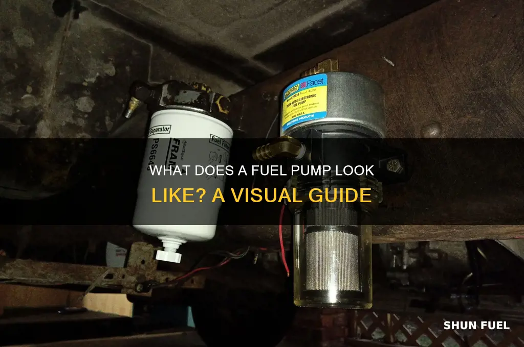 what does a fuel pump look like