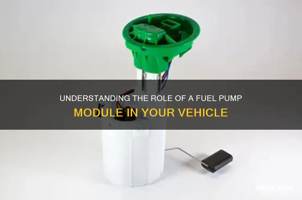 what does a fuel pump module do
