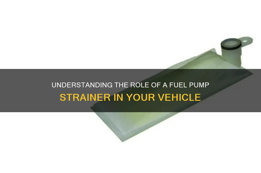 what does a fuel pump strainer do