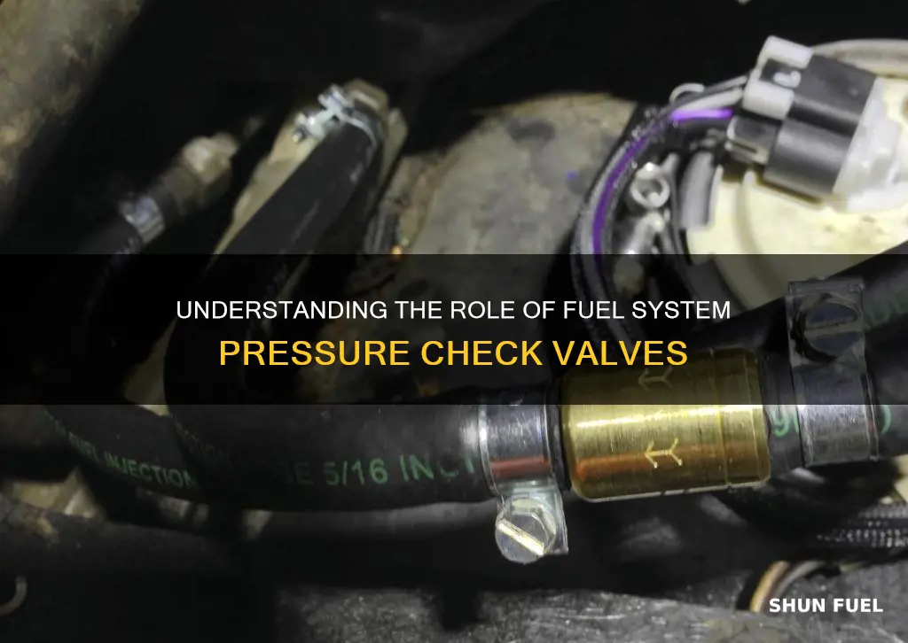 what does a fuel system pressure check valve do