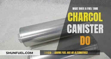 Fuel Tank Charcoal Canister: How It Works and Why It's Important