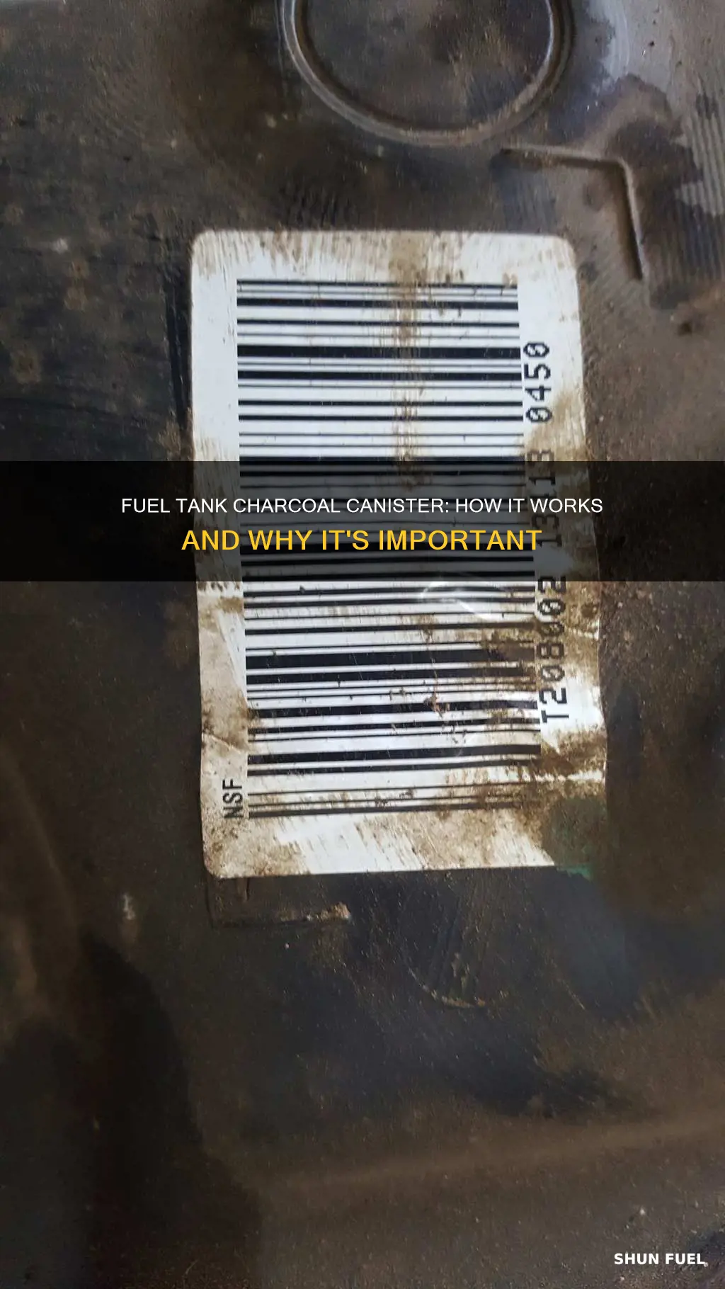 what does a fuel tank charcol canister do