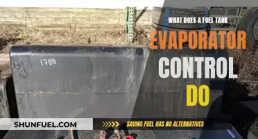 Fuel Tank Evaporator Control: What's Its Function?