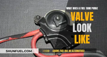 A Look Inside: Fuel Tank Purge Valve