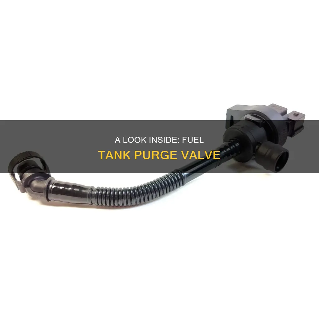 what does a fuel tank purge valve look like