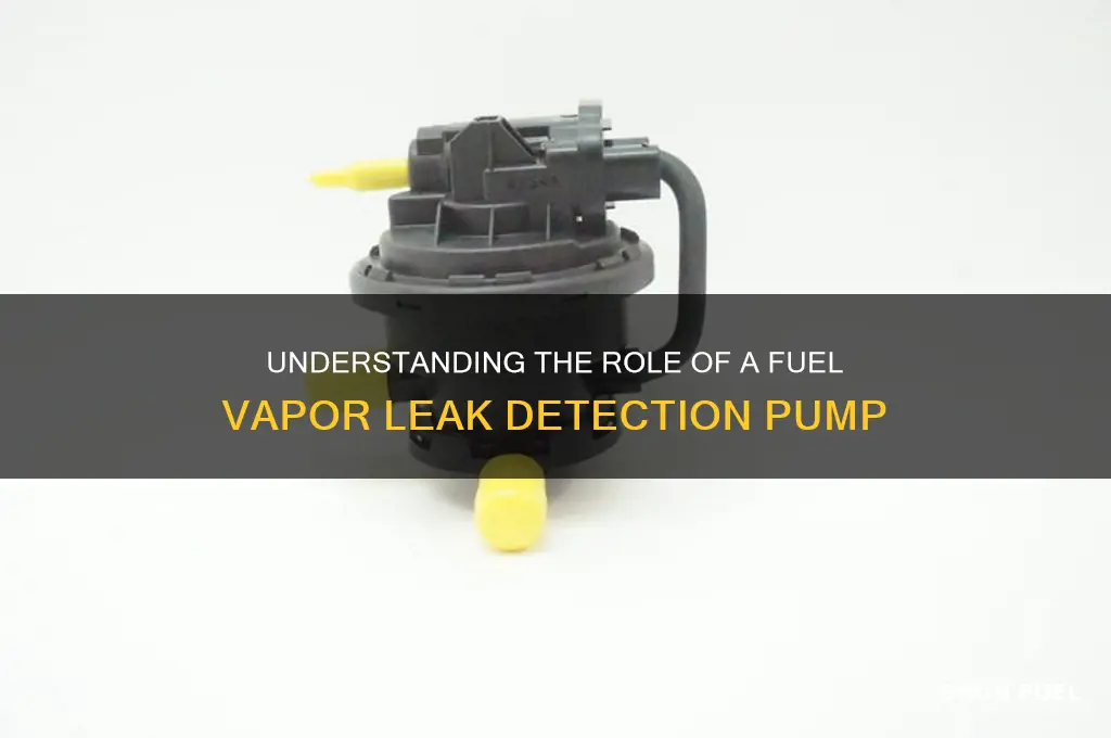 what does a fuel vapor leak detection pump do