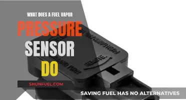 Understanding the Role of Fuel Vapor Pressure Sensors